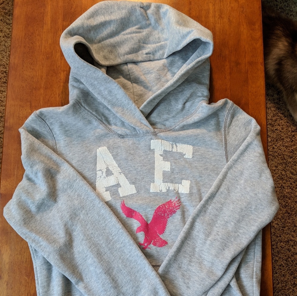 American Eagle Hooded Sweatshirt